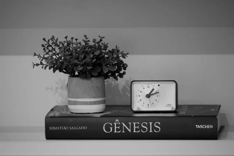 Black and white photo with clock, planter, and book on shelf. Elegant and simple.